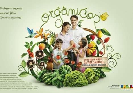 Irrigação diversifica pauta do agronegócio