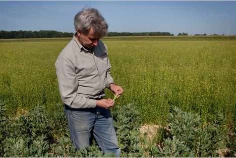 Fortes vendas de alimentos orgânicos atraem investidores