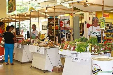 Produzindo alimentos orgânicos