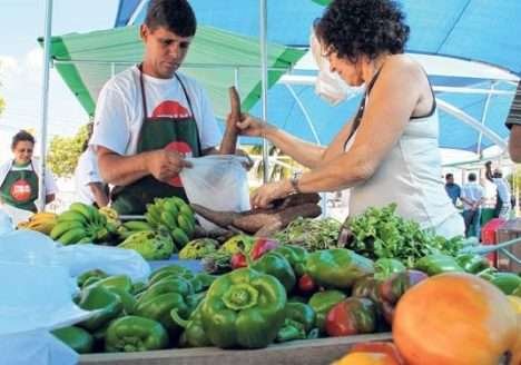 Paraíba lidera produção
