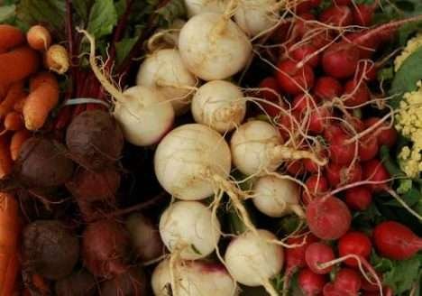 Alimentos orgânicos e convencionais frente a frente