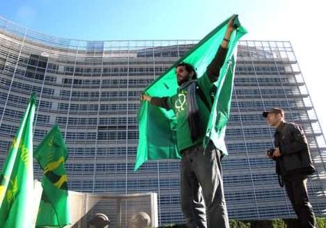 Conquistas do movimento orgânico em 2012