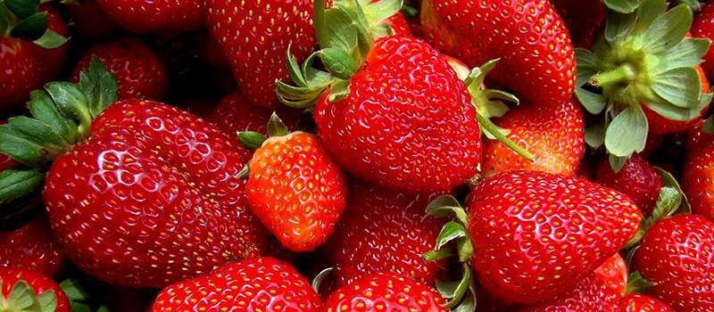 Comércio de orgânicos