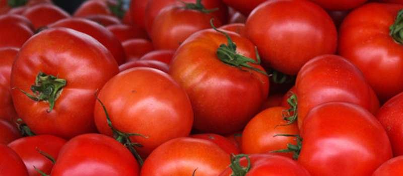 Como produzir Orgânicos