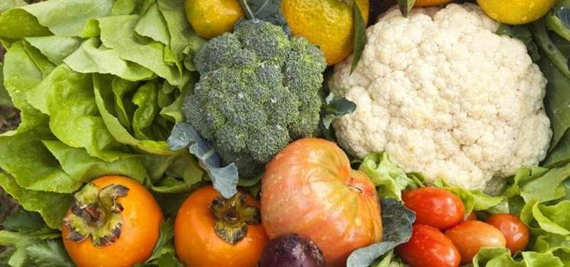 O que são Orgânicos