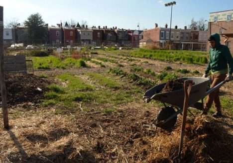 Fazenda urbana, em Washington, produz alimentos para moradores pobres
