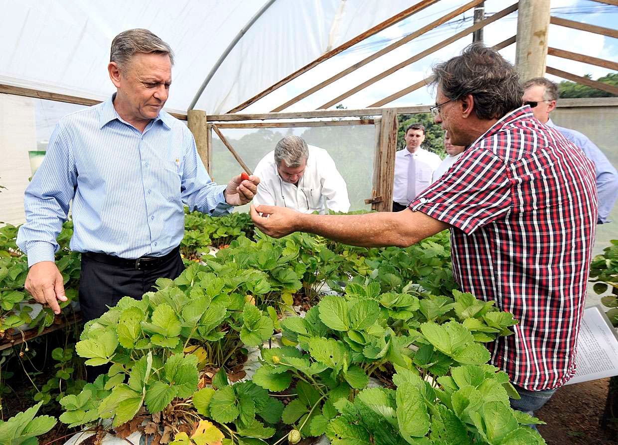 etec_prefeito_visita_vale_verde_p_38g