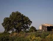 Orgânicos vencem crise na Itália