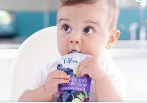 Gigante de alimentos compra a Plum Organics