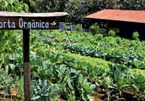 UENP realizará auditoria para certificação de produtos orgânicos