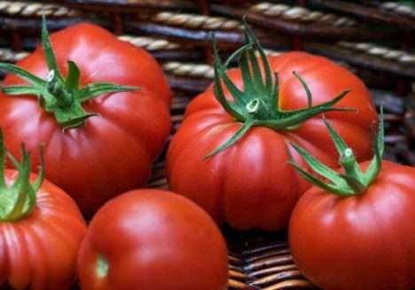 Produção de orgânicos cresceu mais de 300% em 12 anos