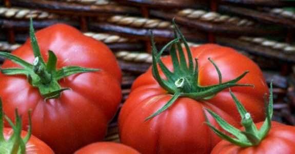 Produção de orgânicos cresceu mais de 300% em 12 anos