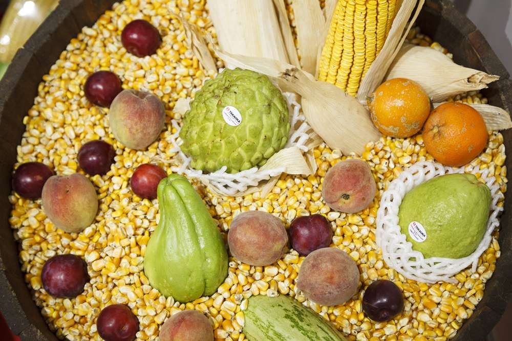 Foto: Marcio Shaffer