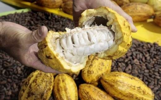 Portal do Agroneg&oacute;cio