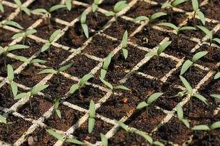 9276192859_1d0faa3226_n