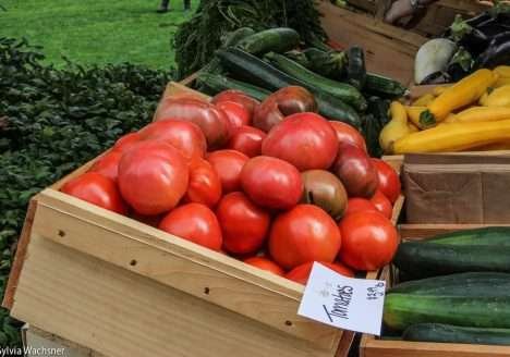 Na Paraíba, alimentos orgânicos estão até 72% mais baratos