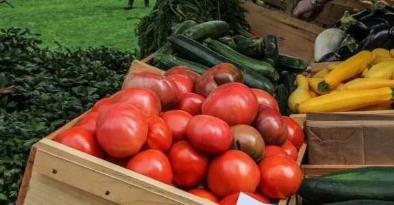 Na Paraíba, alimentos orgânicos estão até 72% mais baratos