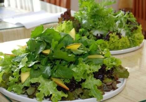 Projeto beneficia comércio e consumidores em Teresópolis, RJ