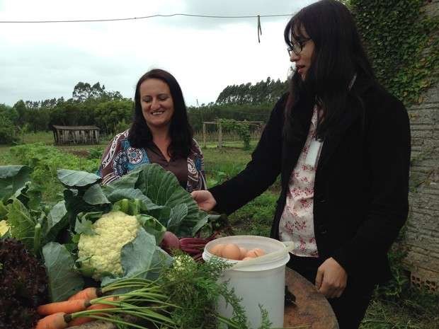 Produtores de fumo est&atilde;o investimento em outras culturas / Foto: Marco Antonio Mendes/RBS TV