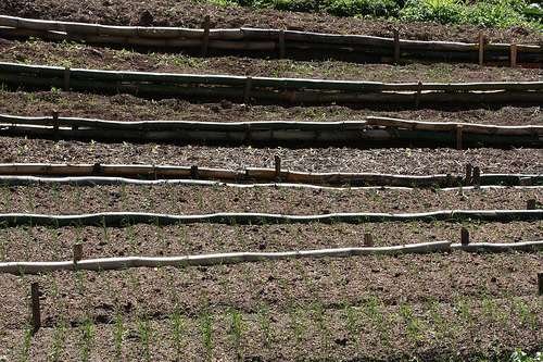 9278890806_fa9e1f6d86