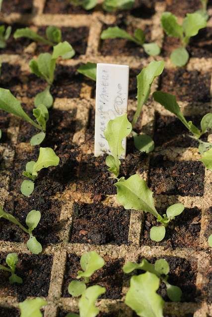 9278961894_19de23255a_z