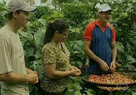 Guaraná orgânico: de Rondônia para França