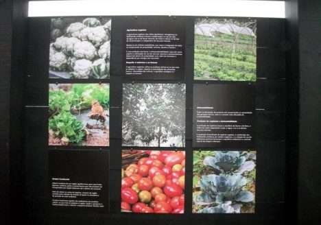 III Festival de Gastronomia e Cultura de Macaé