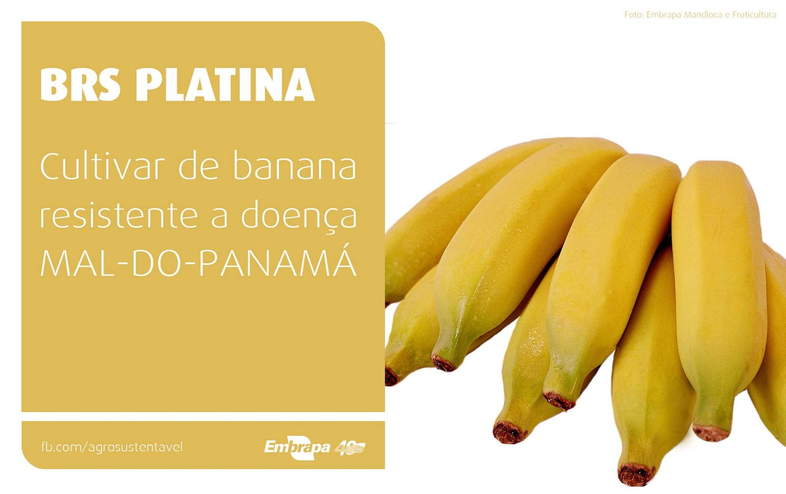 1483531_509544869166776_73966690_o