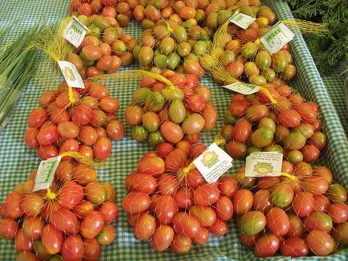 6515618797_265a3cefce