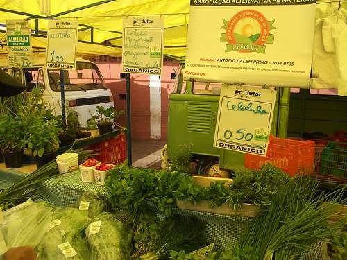 6515617033_f1f5ac5ca7