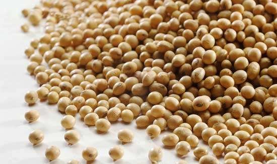 foto: Planeta Sustent&aacute;vel