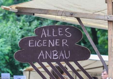 Hortas comunitárias se popularizam em Berlim