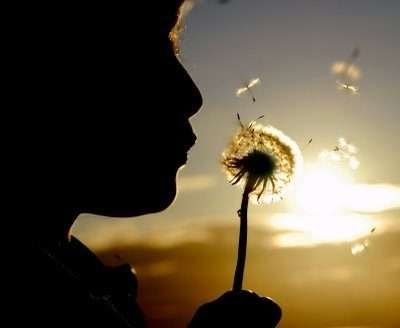 Você é o que você…Consome!