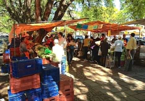 Feira Ecológica movimenta produção orgânica de Porto Alegre