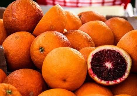 CI Orgânicos aponta falhas no Cadastro Nacional dos Produtores Orgânicos