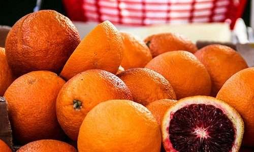 CI Orgânicos aponta falhas no Cadastro Nacional dos Produtores Orgânicos