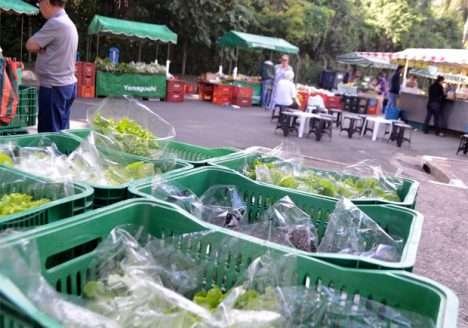 Orgânicos x tradicionais: Pesquisa da Unicamp mostra que diferença de preços