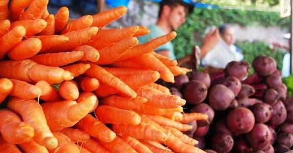 Produção de alimentos orgânicos cresce no Espirito Santo