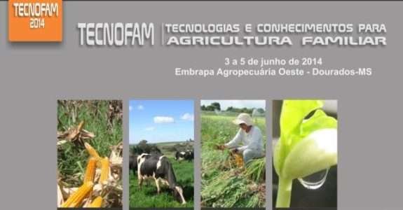 Embrapa promove curso de cultivo orgânico de hortaliças para Quilombo piauiense