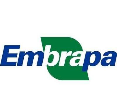 Emprapa oferece nova edição do Curso Teórico e Demonstrativo em Agricultura Orgânica em São Paulo