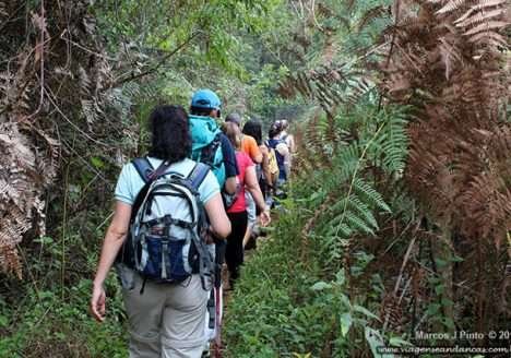 Talentos do Brasil Rural:Caminhos do Brejal está entre roteiros selecionados