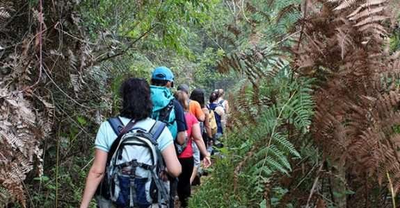 Talentos do Brasil Rural:Caminhos do Brejal está entre roteiros selecionados