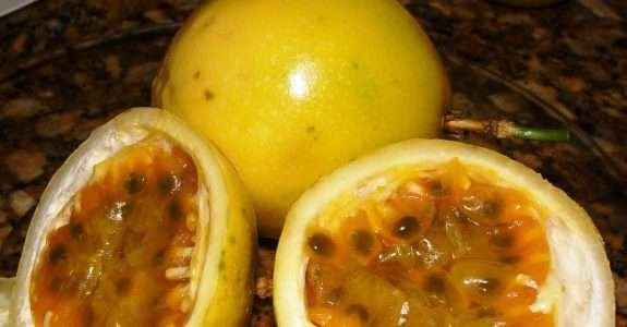 Ministério da Saúde lança segunda edição do livro “Alimentos Regionais Brasileiros”