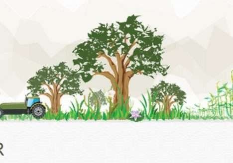 CapCAR: Curso de capacitação oferece 31 mil vagas