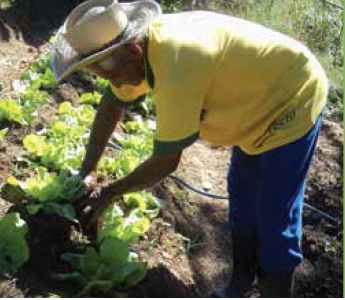 Revista A Lavoura: Projeto “Pinheiral Orgânico” ganha destaque no RJ