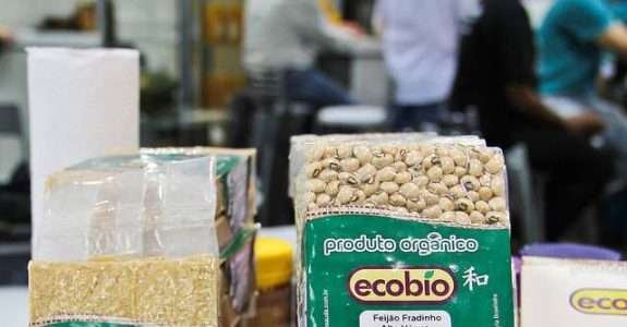 Manejo da adubação na cultura do feijão em sistema de produção orgânico