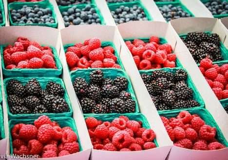 Procura por orgânicos cresce nos Estados Unidos e no Reino Unido