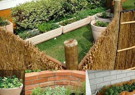 Produção agroecológica é tema de debates em Roraima