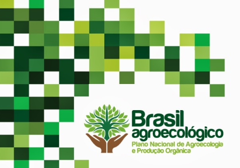 O Brasil rumo à agroecologia