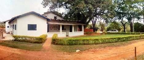 Tecnologia e a produção de sementes orgânicas